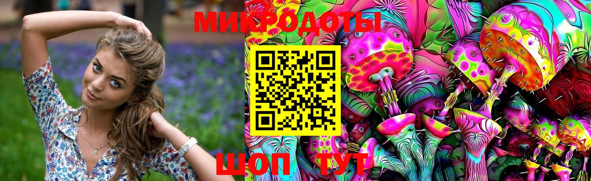 Галлюциногенные грибы Cubensis Россия